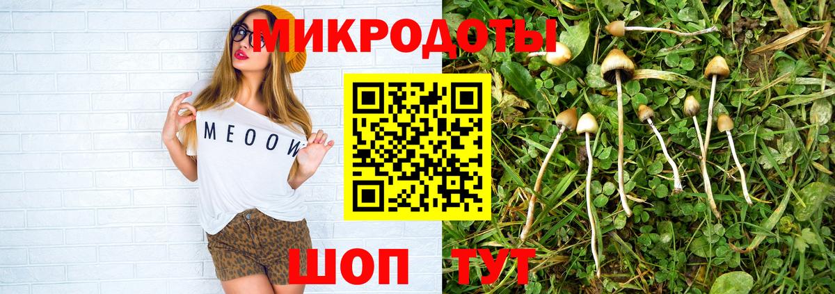 Псилоцибиновые грибы Psilocybe  Вход с VPN  Муром  Галлюциногенные грибы мицелий 