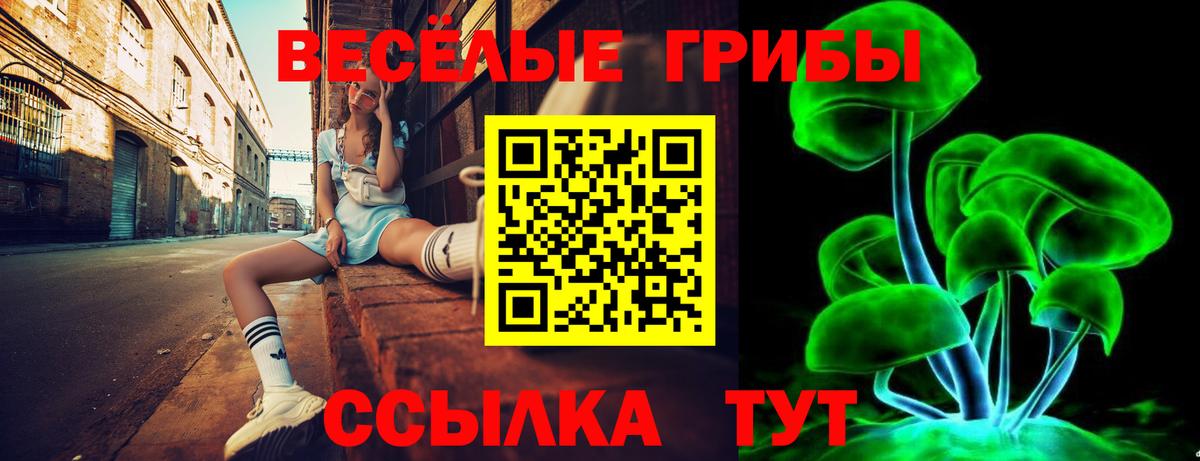 Псилоцибиновые грибы MAGIC MUSHROOMS Муром