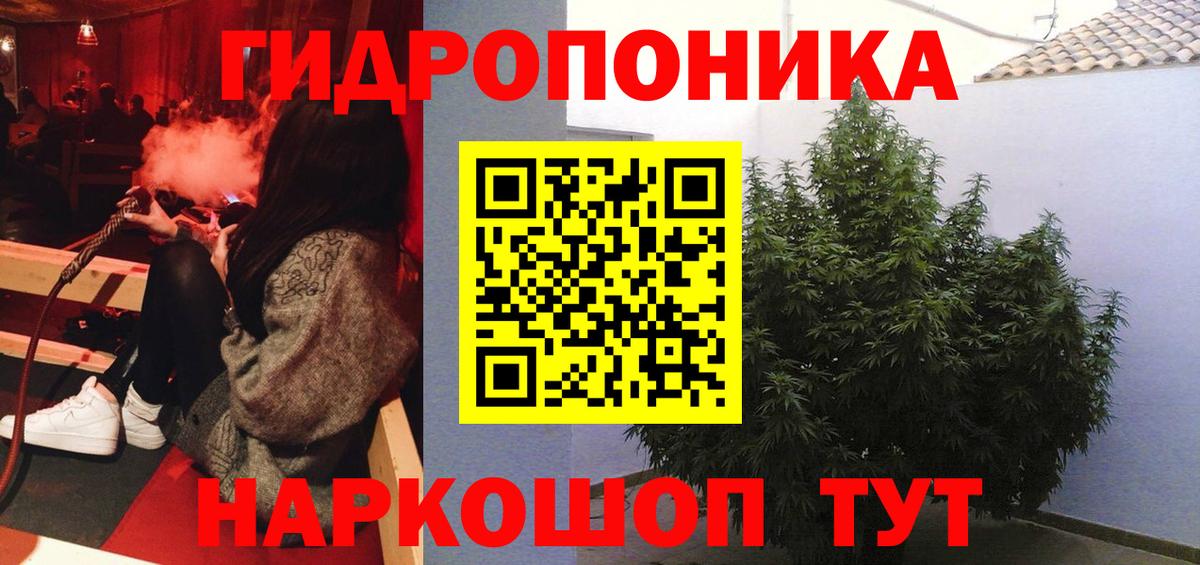 Бошки Шишки марихуана  Конопля VHQ  Вход с VPN  Каннабис марихуана  Бошки Шишки White Widow  Муром 